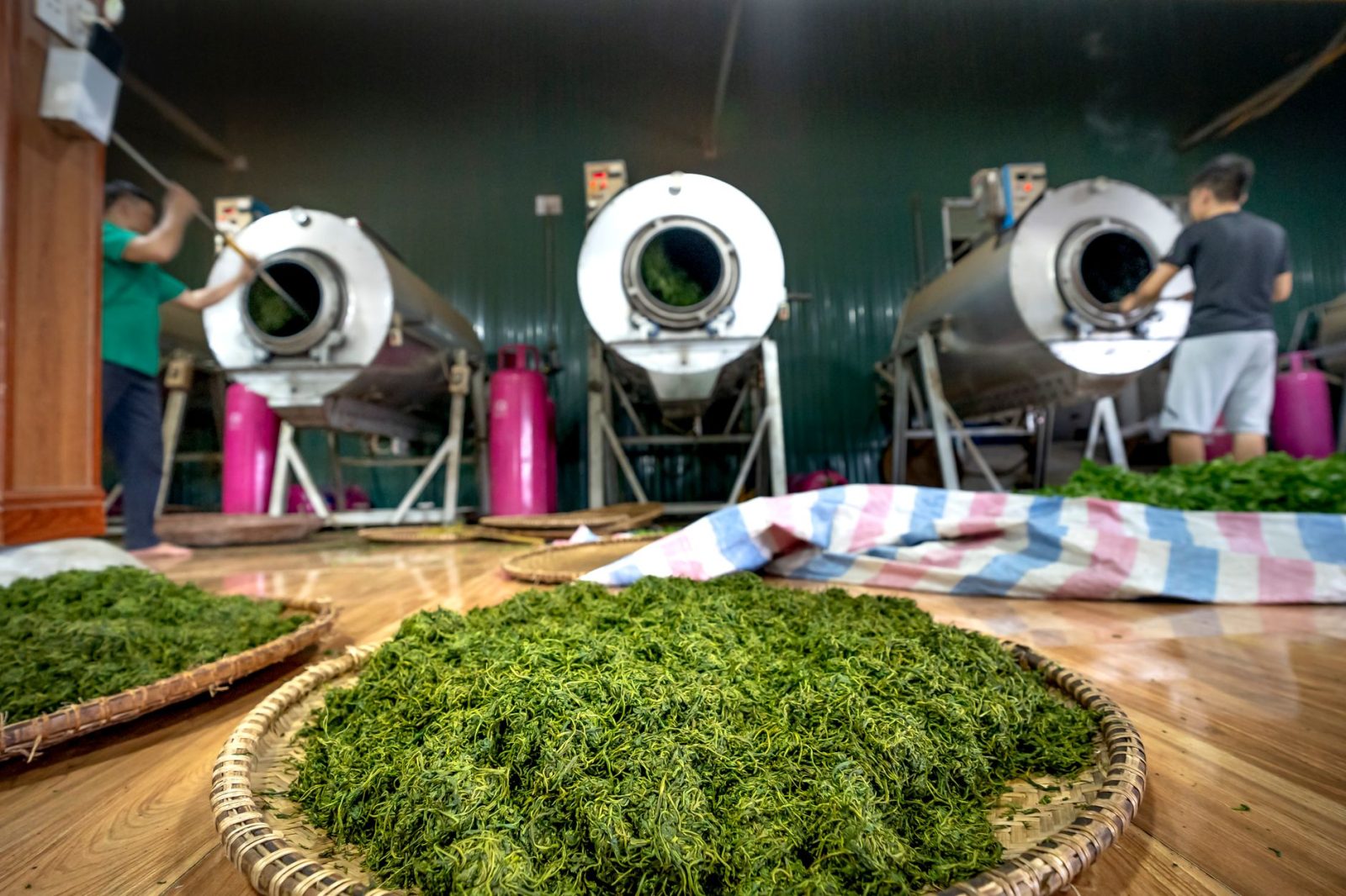 从工艺分类到代表名茶：常见绿茶的品类体系与风味特征