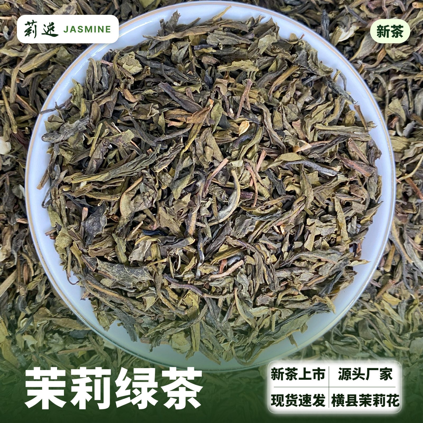 广西横县茉莉绿茶