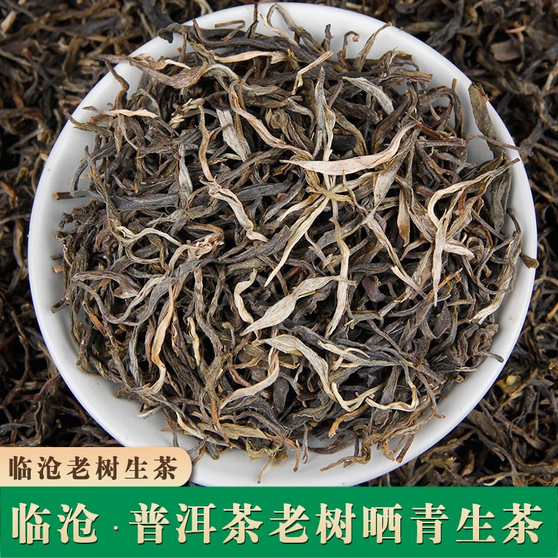 云南临沧乔木老树普洱早春生茶散茶