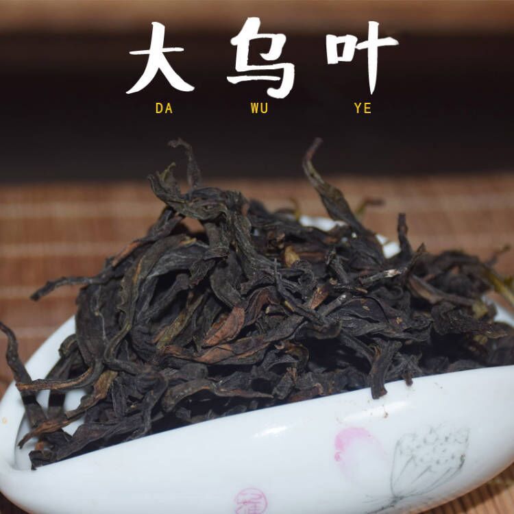 凤凰单丛乌龙茶｜广东潮州凤凰大乌叶，中熟香