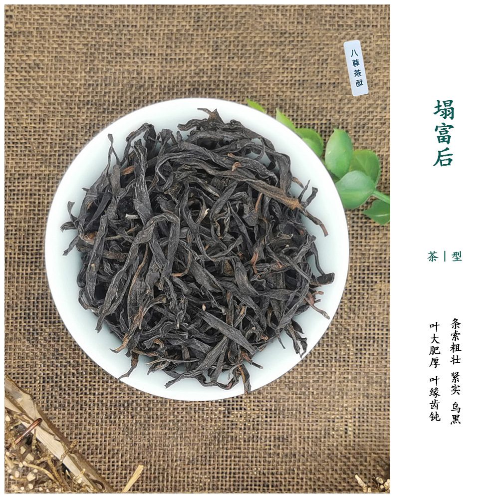 塌富凤凰单丛茶 500g 潮州高山乌龙新茶