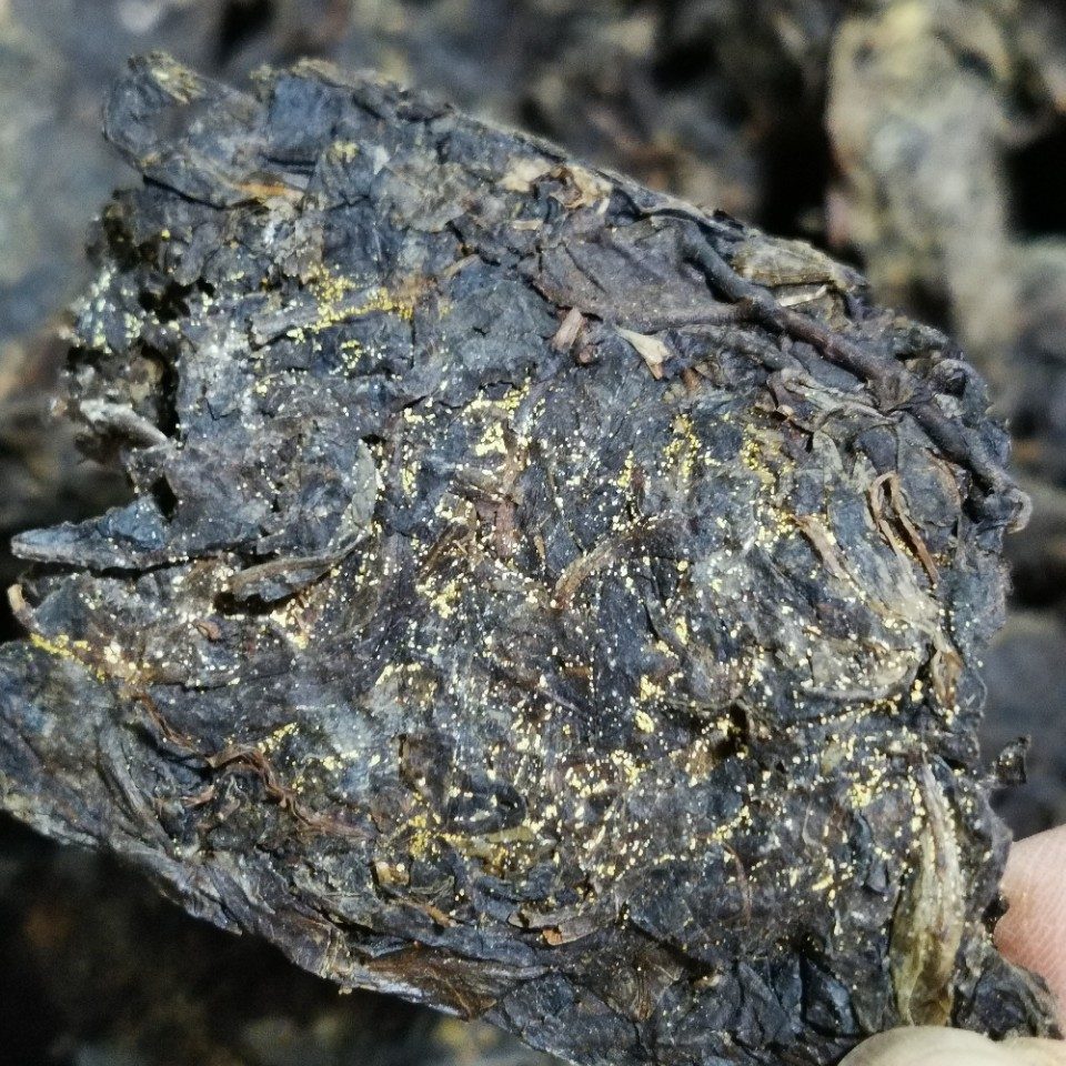 湖南安化黑茶金花茯砖茶散茶