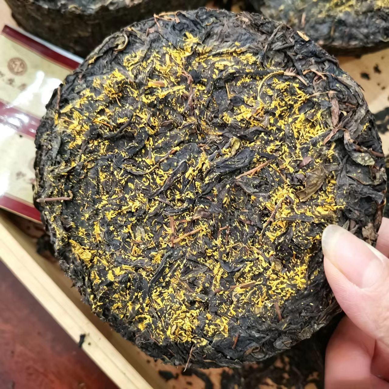 安化黑茶 天尖金花龙柱 圆柱形茯茶