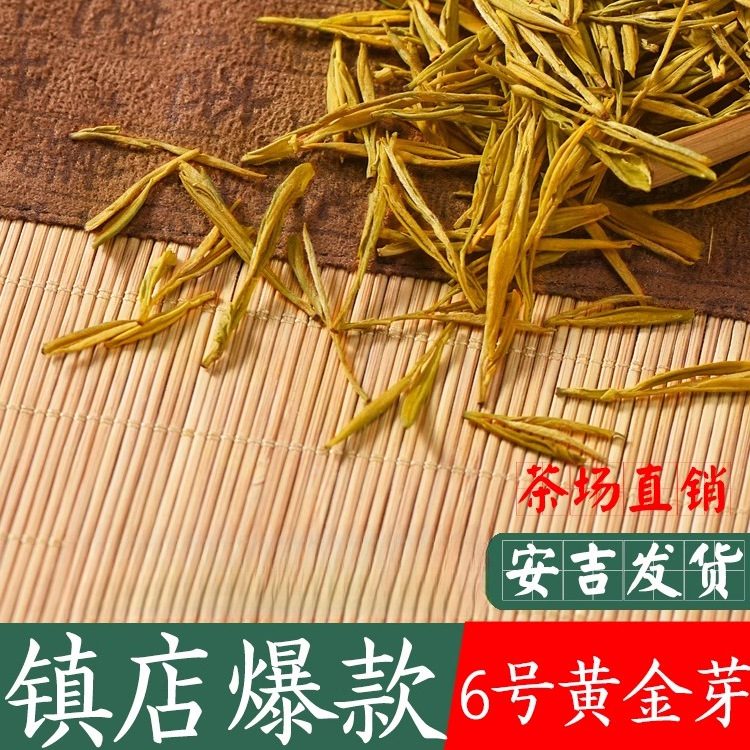 精致黄金芽 2026新茶 安吉黄金叶高山绿茶 250g