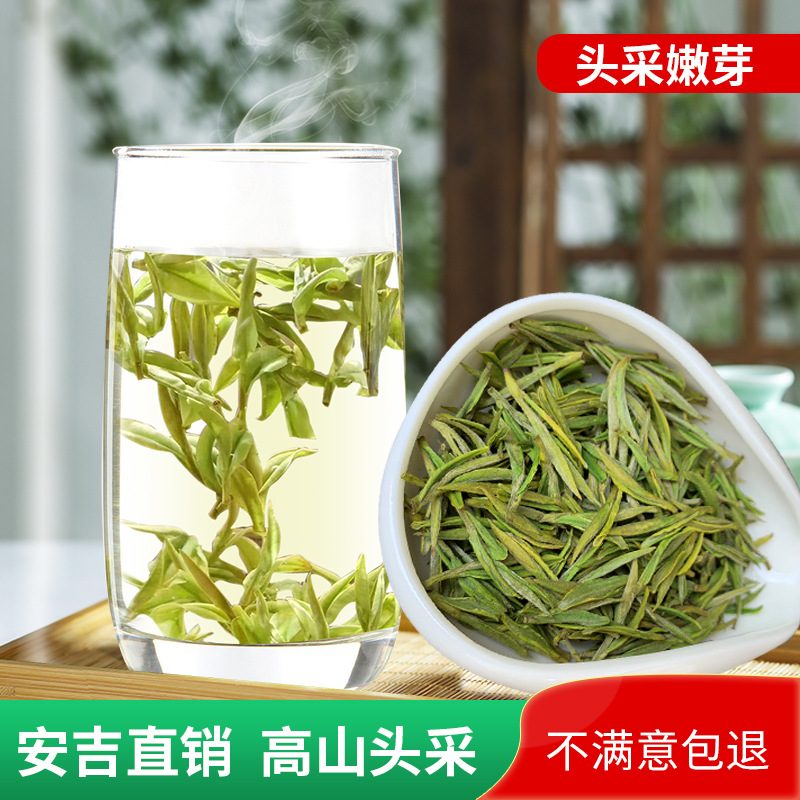2026安吉白茶头采新茶原产地250g高端礼盒绿茶