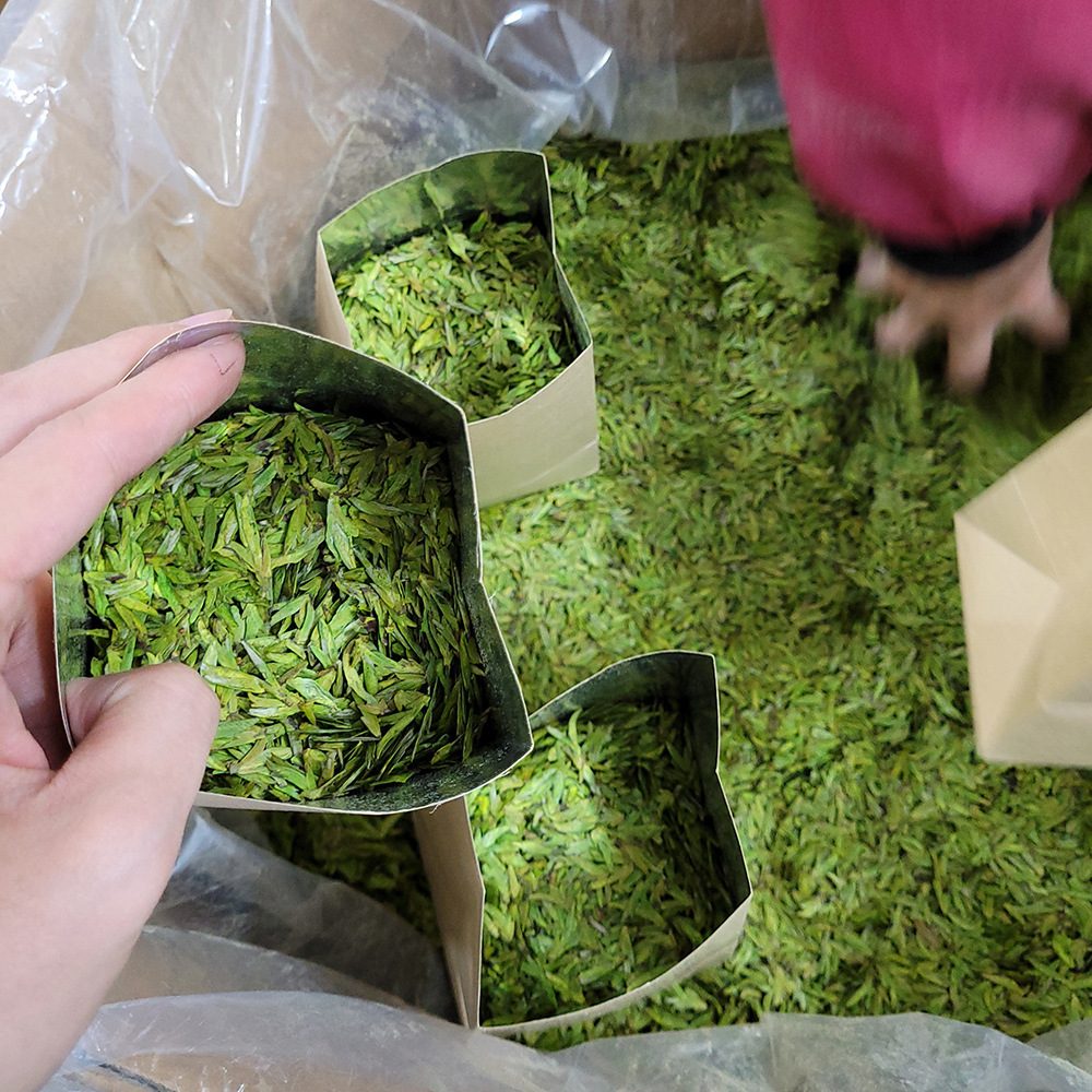 雨后龙井绿茶散装茶叶