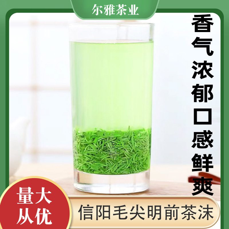 信阳毛尖明前嫩芽浓香型绿茶 500g