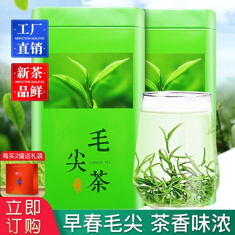 新茶高山云雾毛尖浓香型罐装绿茶礼品茶
