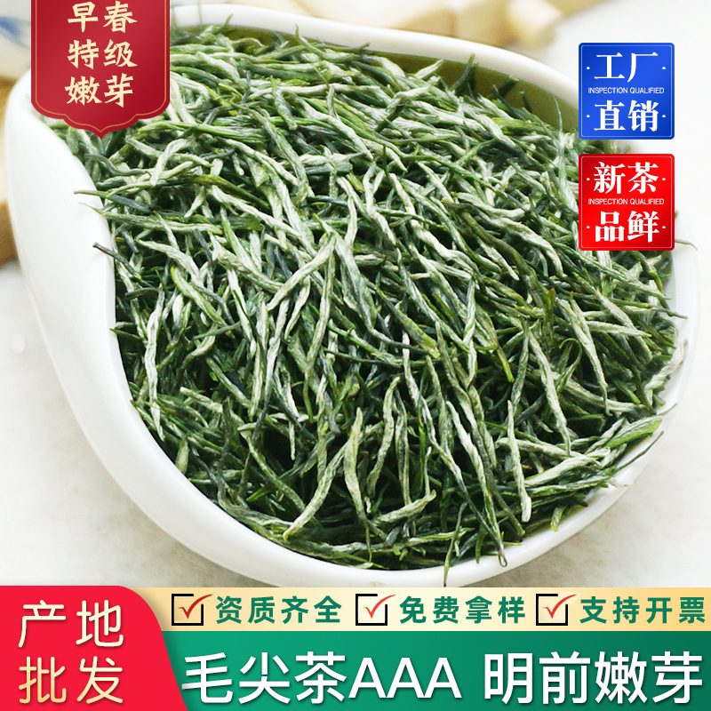 明前特级嫩芽毛尖绿茶，高山云雾浓香型散装茶（非信阳毛尖）