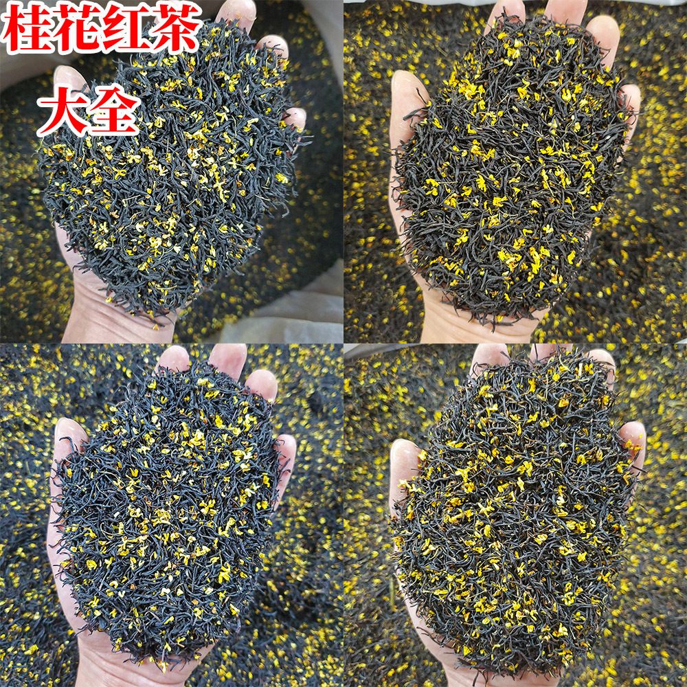 2025新款桂花窨制九曲红梅茶，杭州西湖原产地工夫红茶